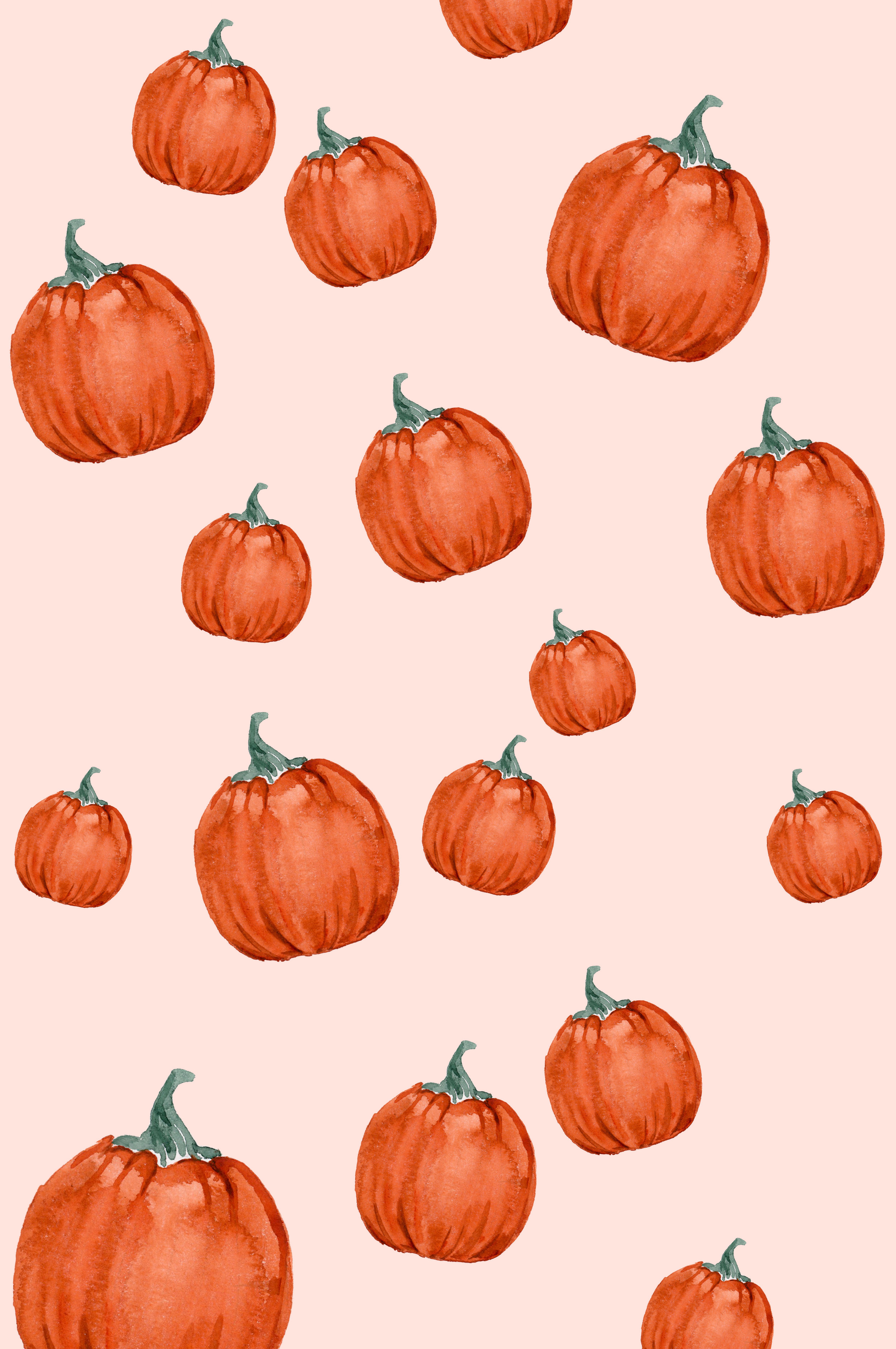 Pink Pumpkin Wallpapers