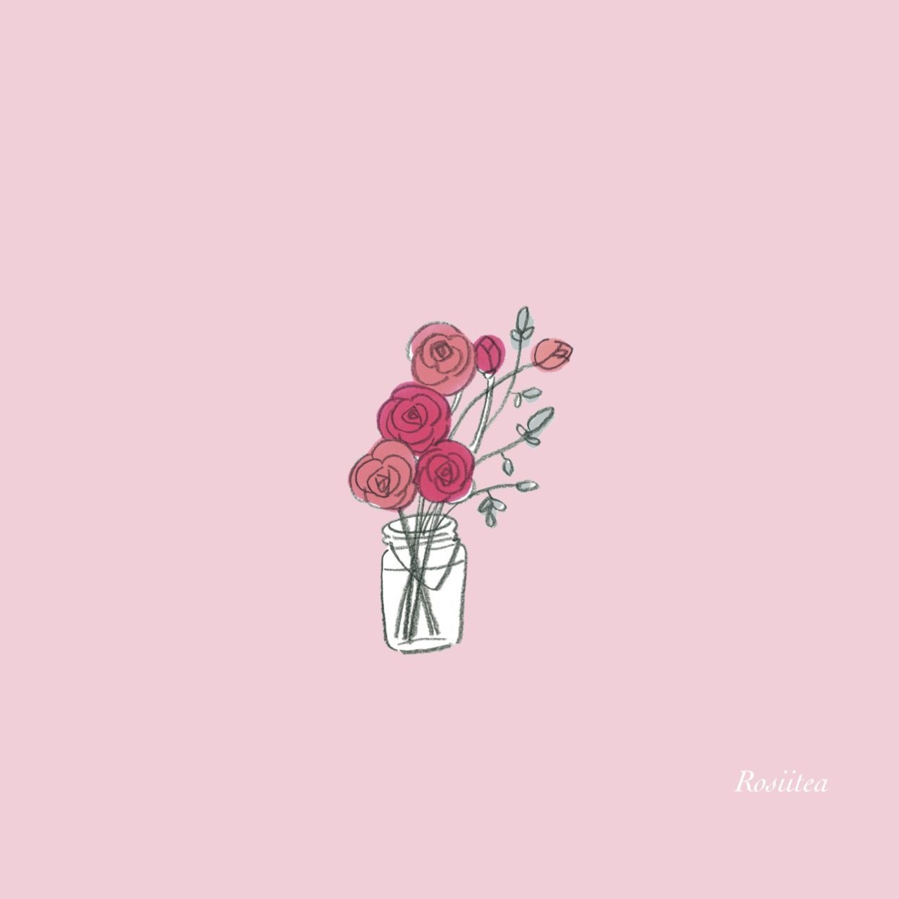 Pink Rose Aesthetic Wallpapers