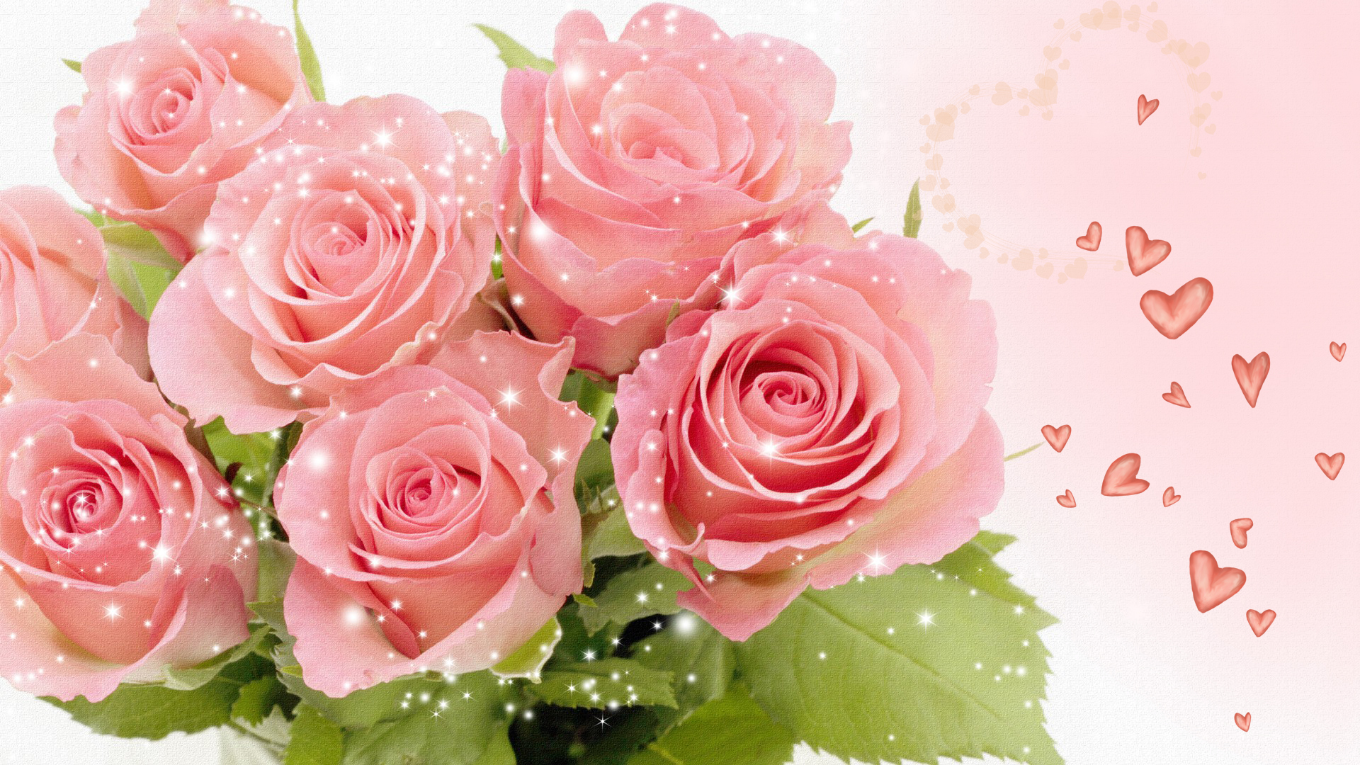 Pink Roses Wallpapers