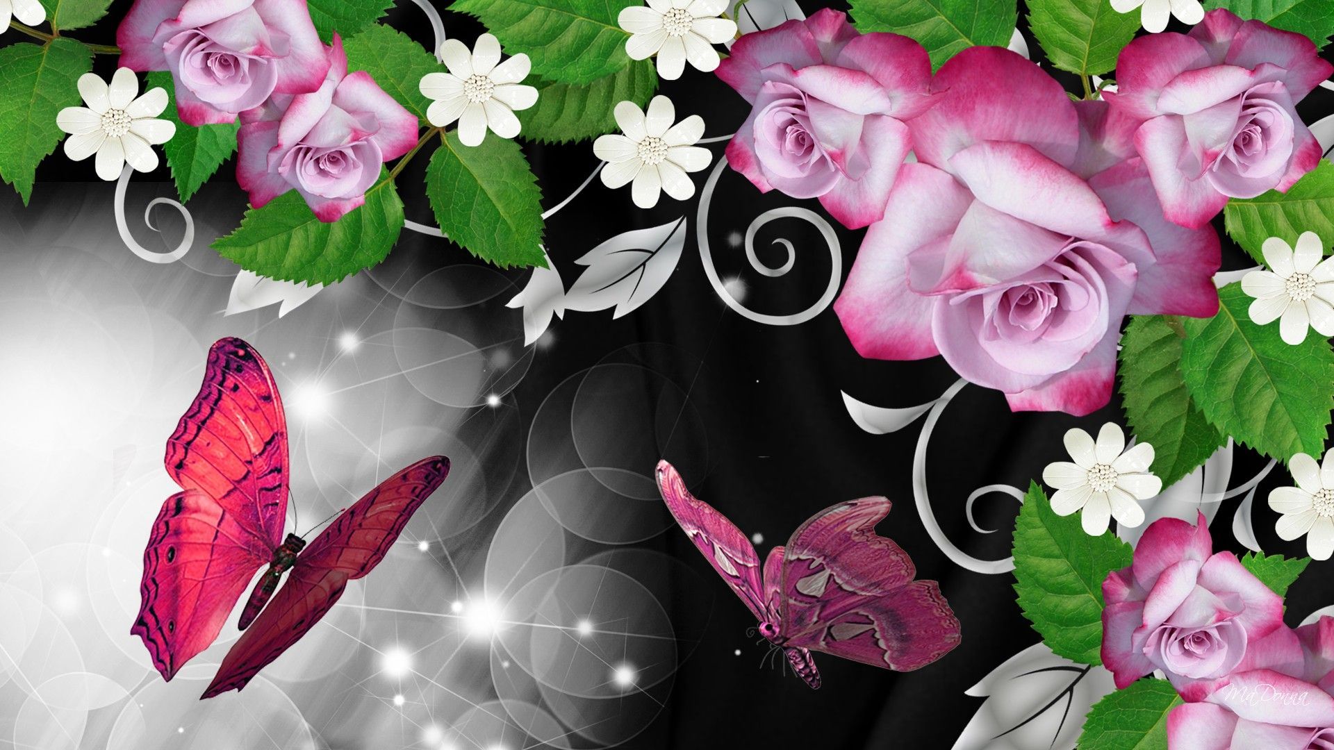 Pink Roses And Butterfly Wallpapers