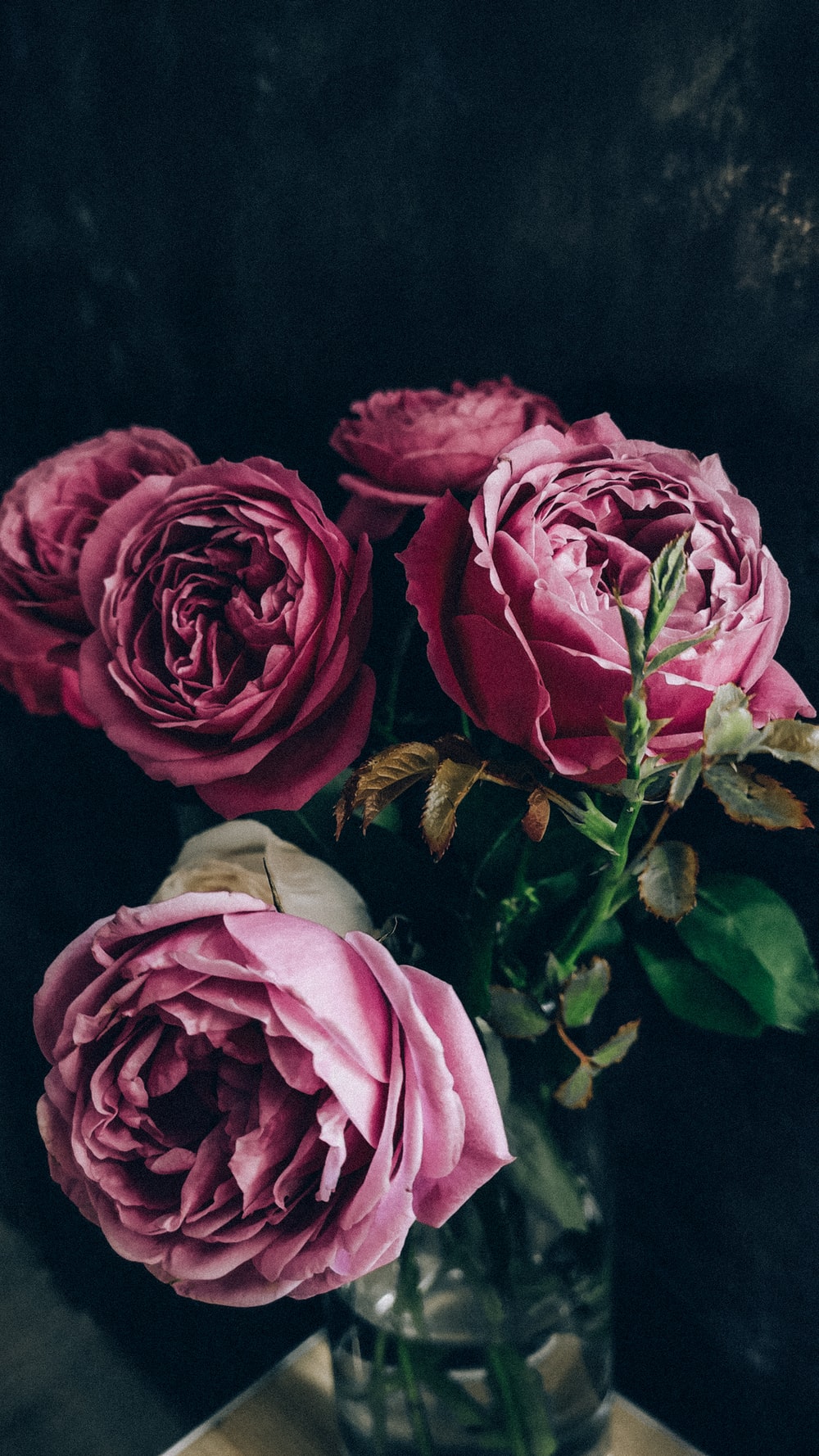 Pink Roses Vintage Wallpapers