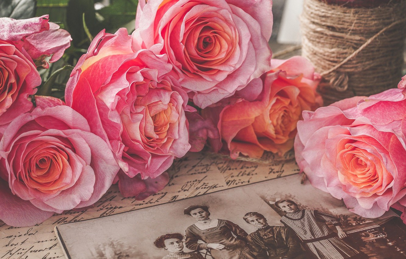 Pink Roses Vintage Wallpapers