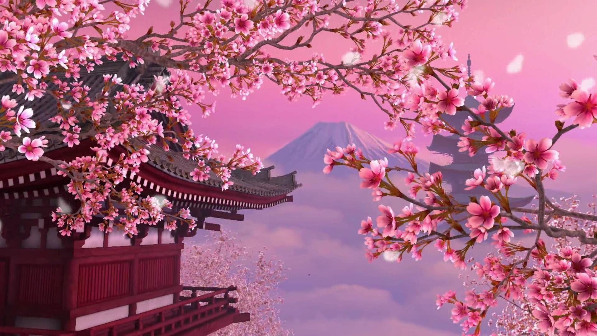 Pink Sakura Tree Anime Aesthetic Wallpapers