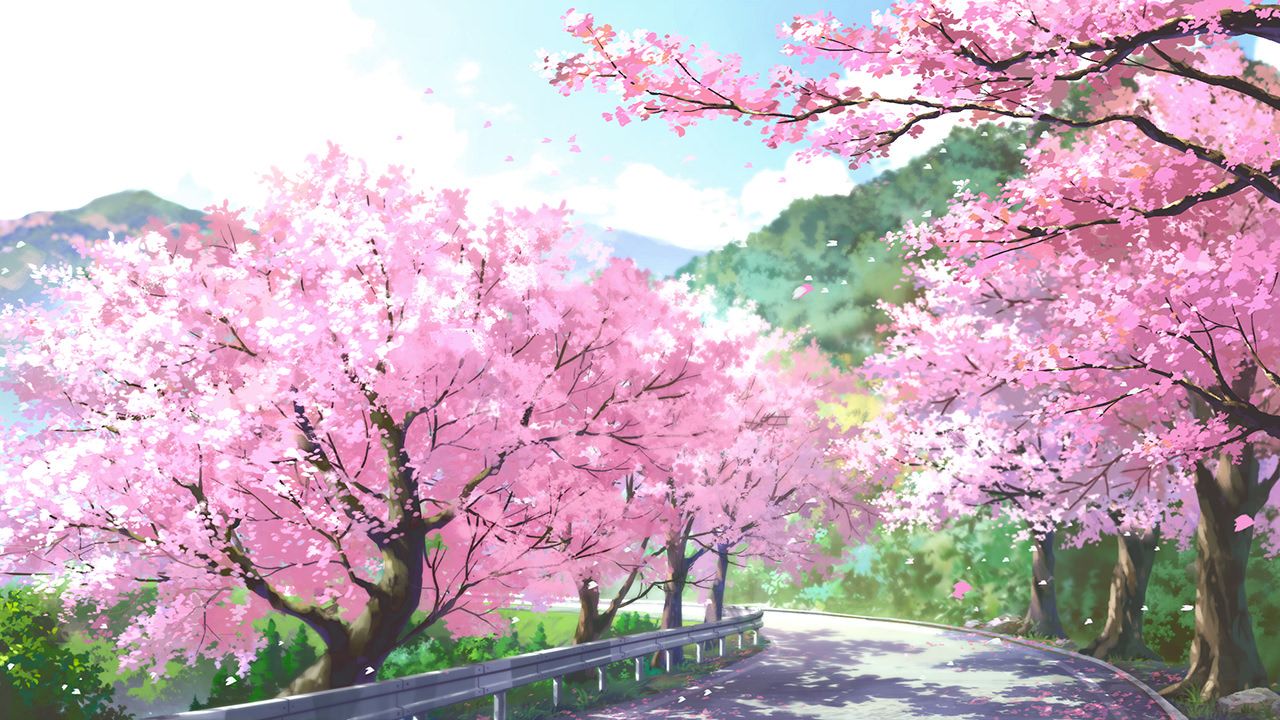 Pink Sakura Tree Anime Aesthetic Wallpapers