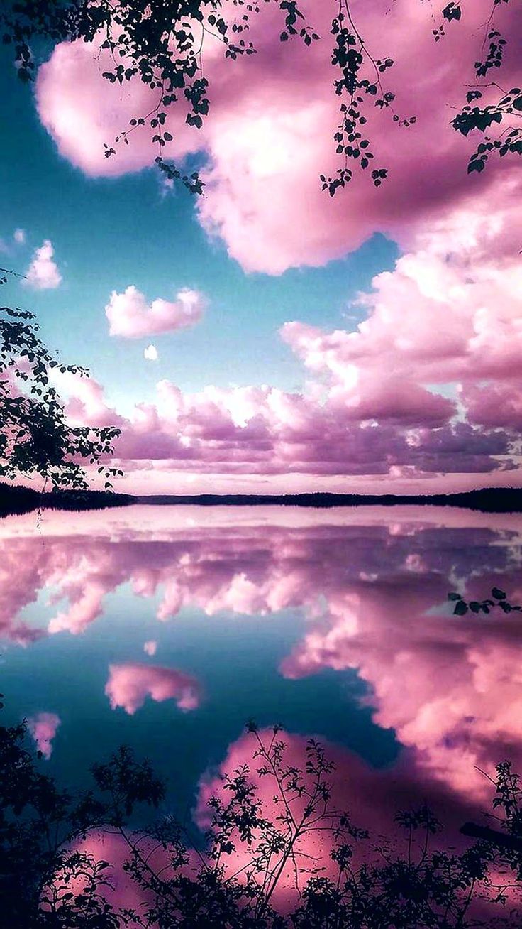 Pink Scenery Wallpapers