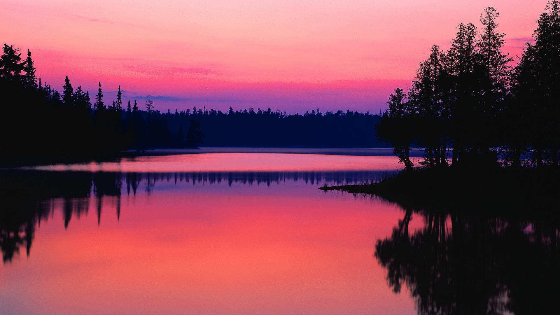 Pink Scenery Wallpapers