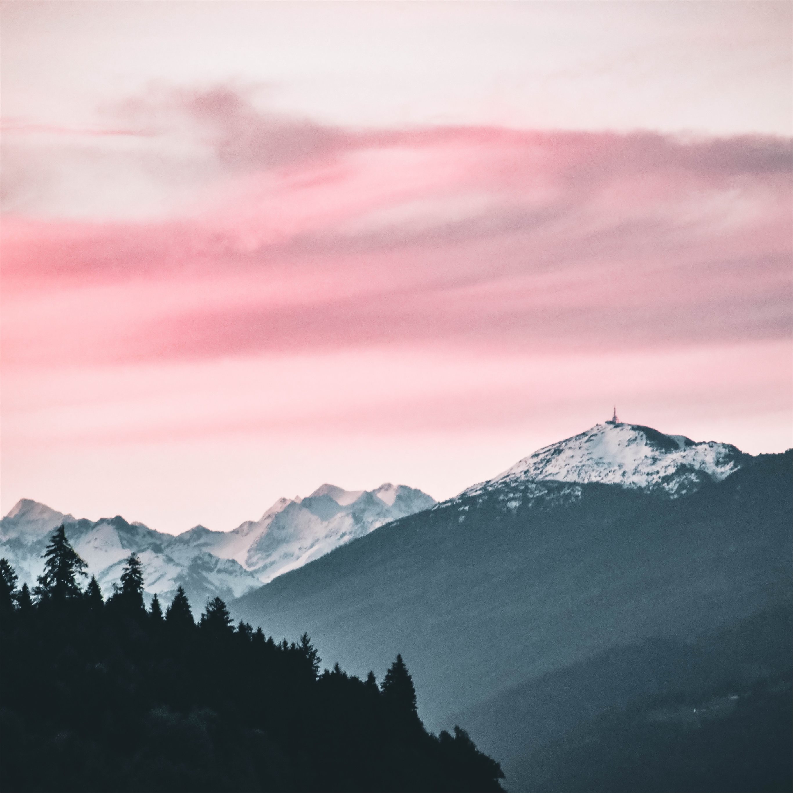 Pink Scenic Wallpapers