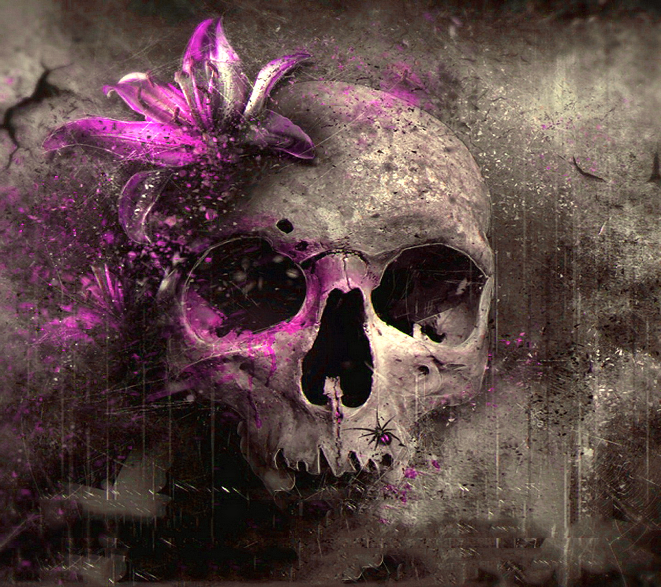 Pink Skull Wallpapers