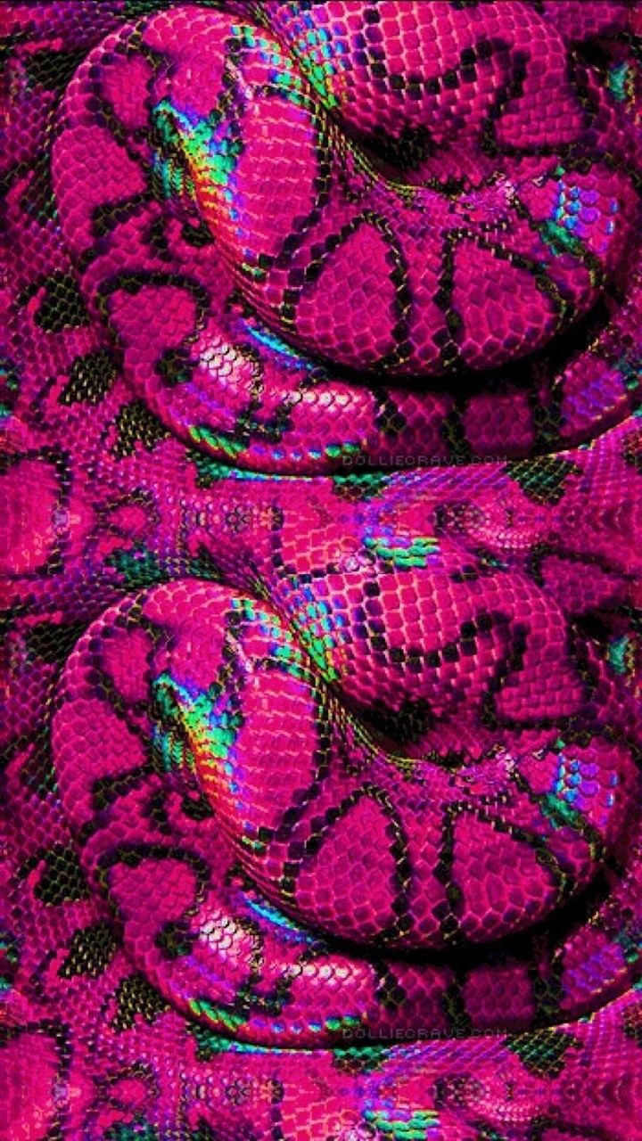 Pink Snake Hd Wallpapers