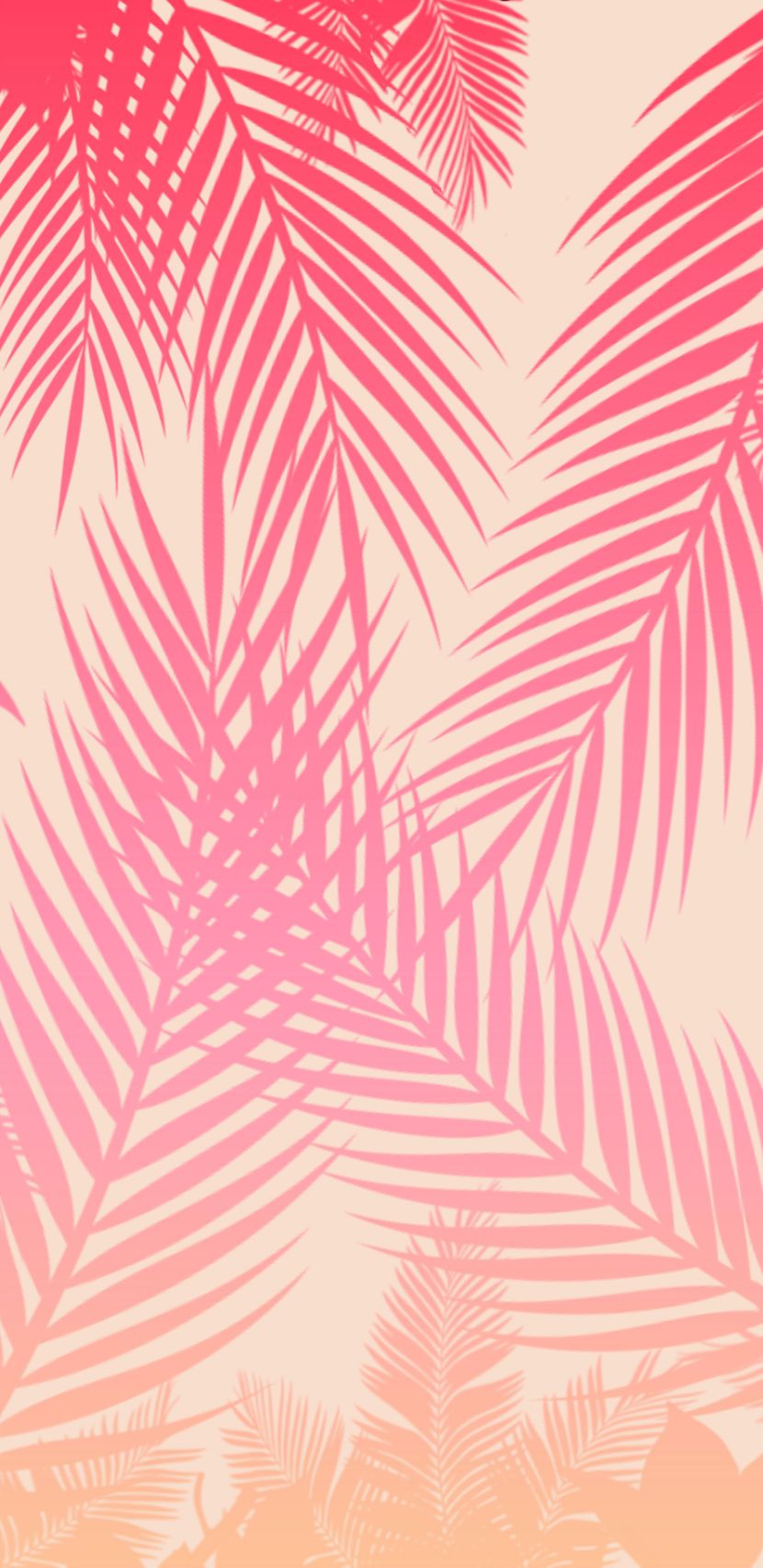 Pink Summer Wallpapers