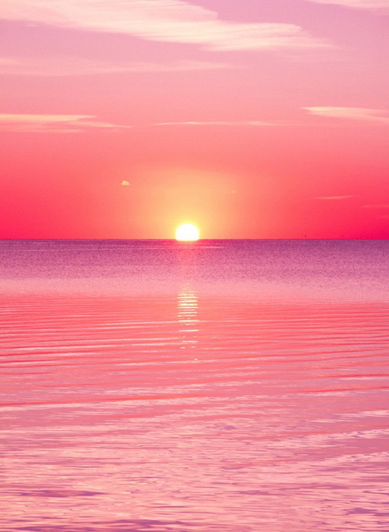 Pink Sunset Wallpapers