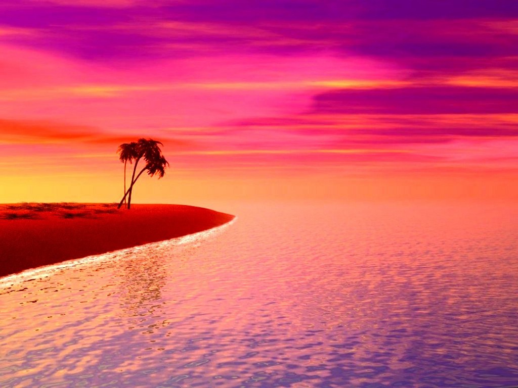 Pink Sunset Wallpapers