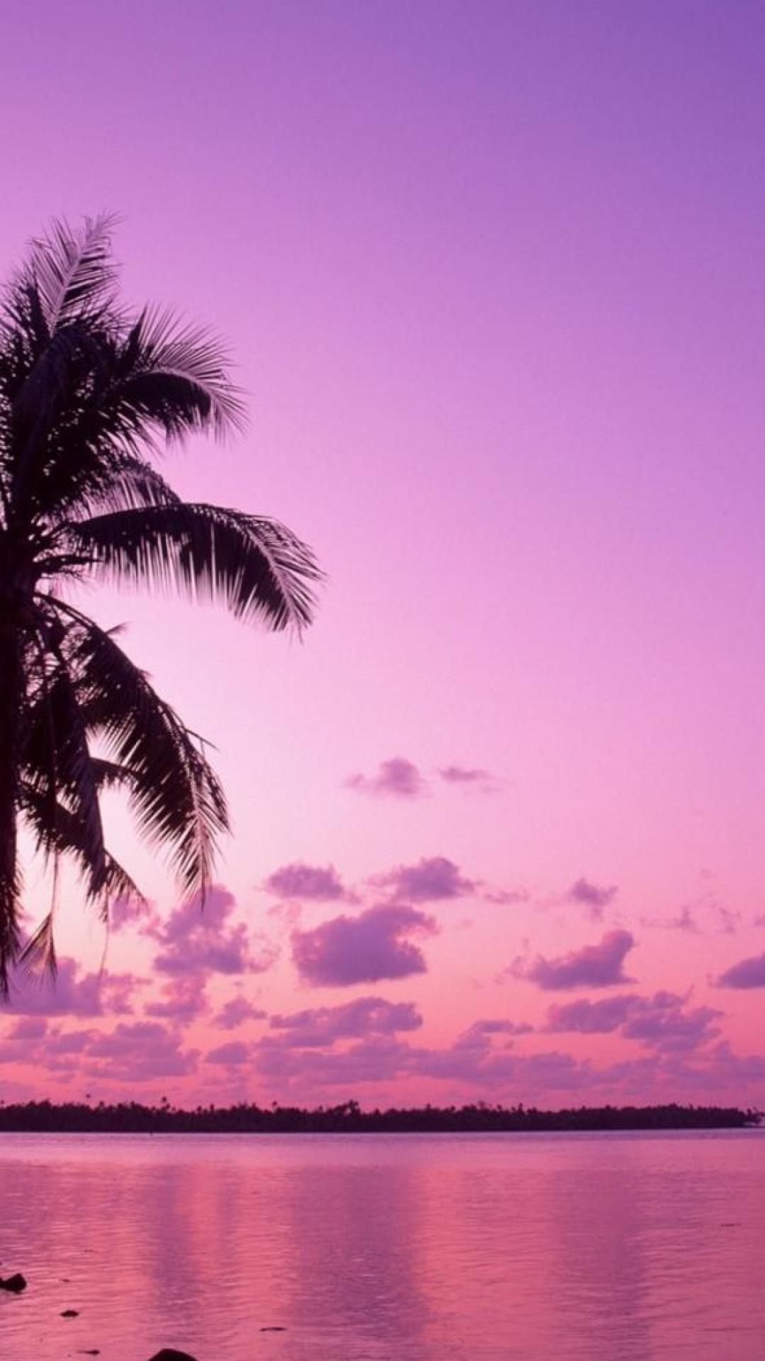 Pink Sunset Wallpapers