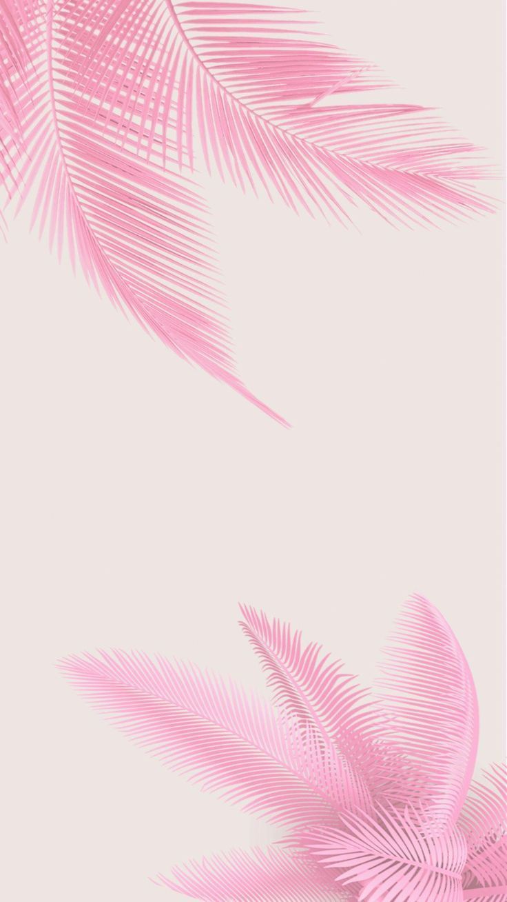 Pink Things Wallpapers