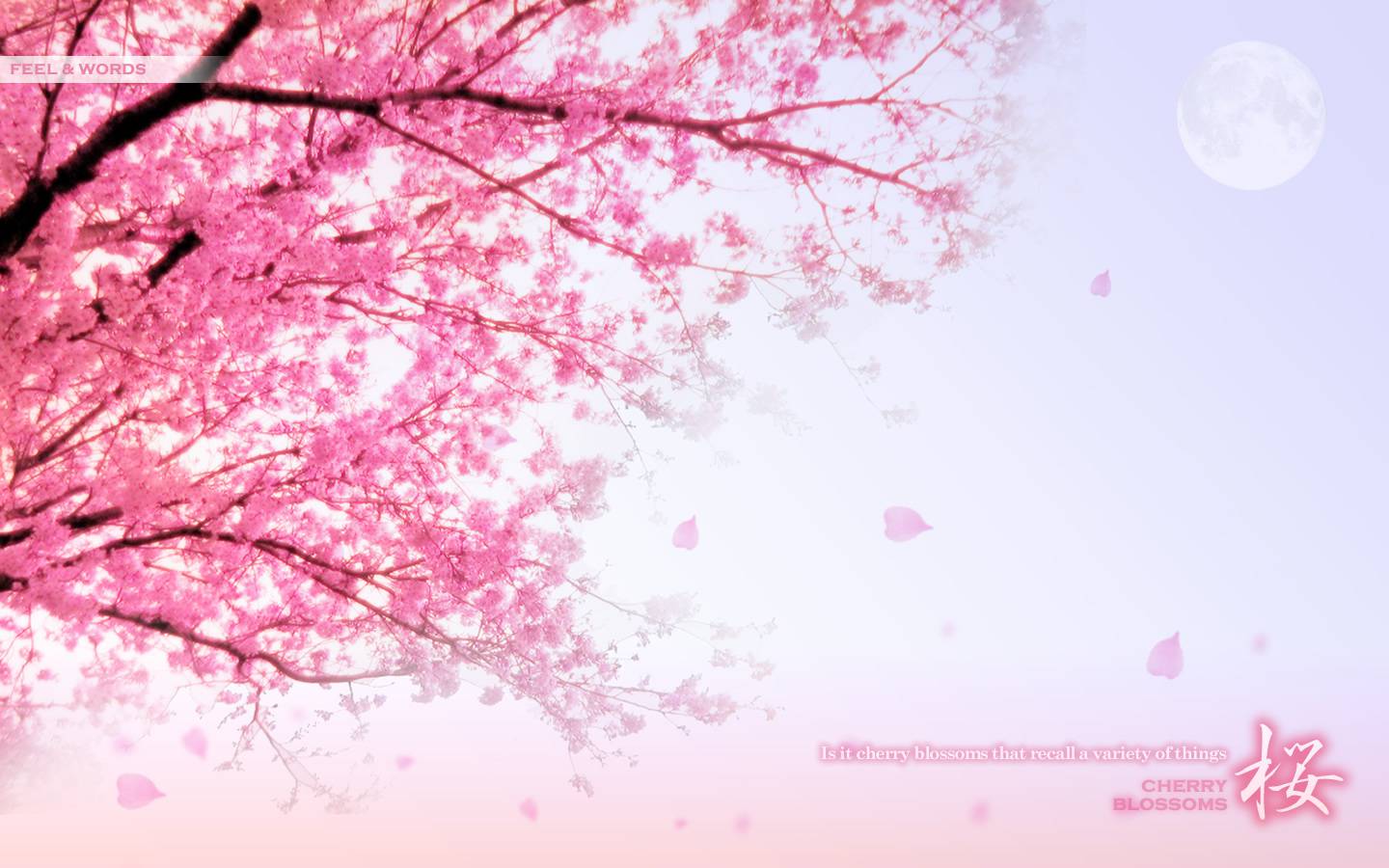 Pink Things Wallpapers