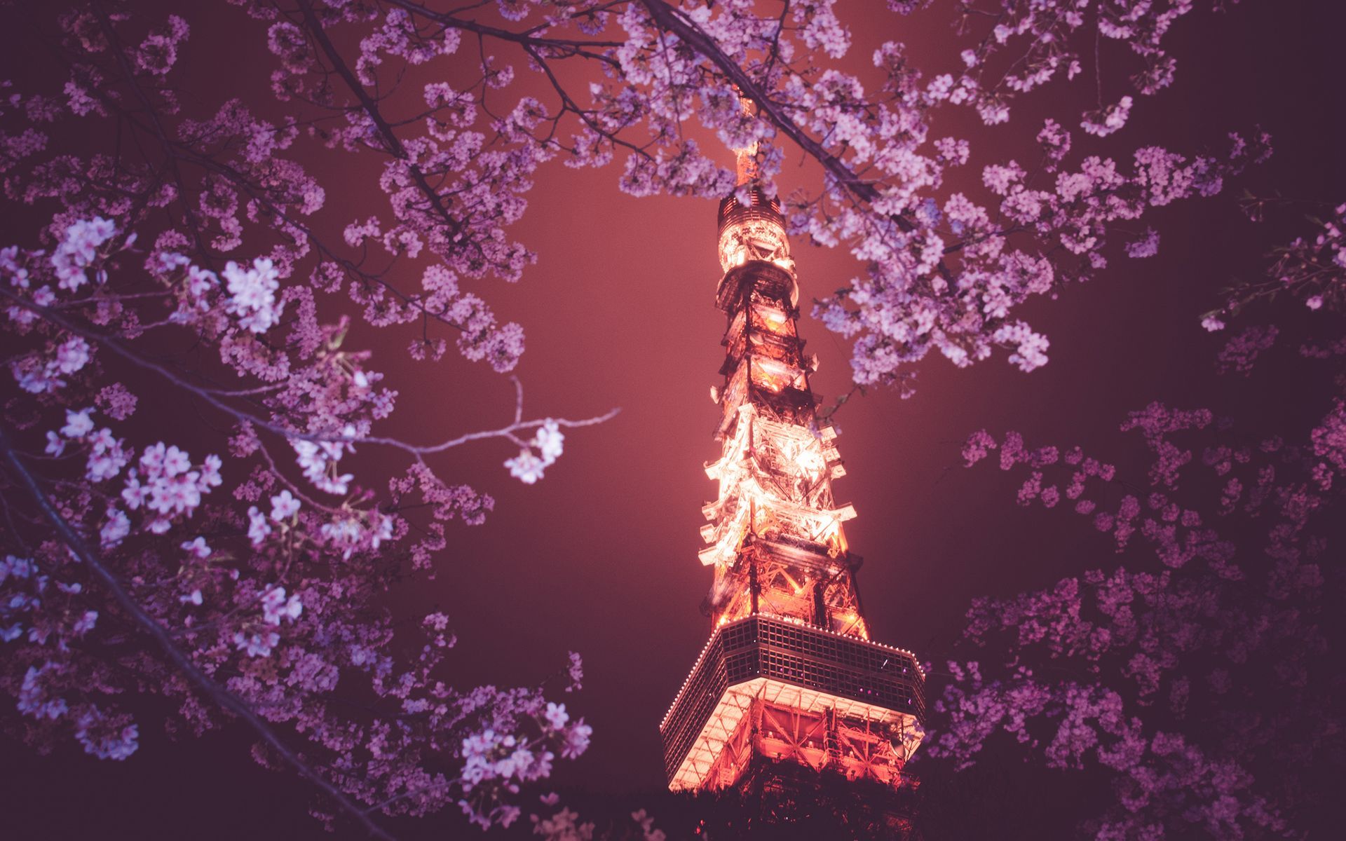 Pink Tokyo Wallpapers