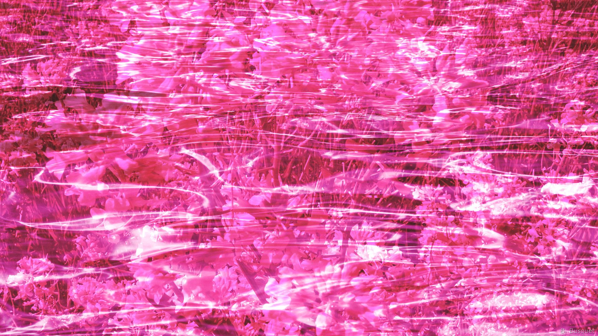 Pink Water Wallpapers