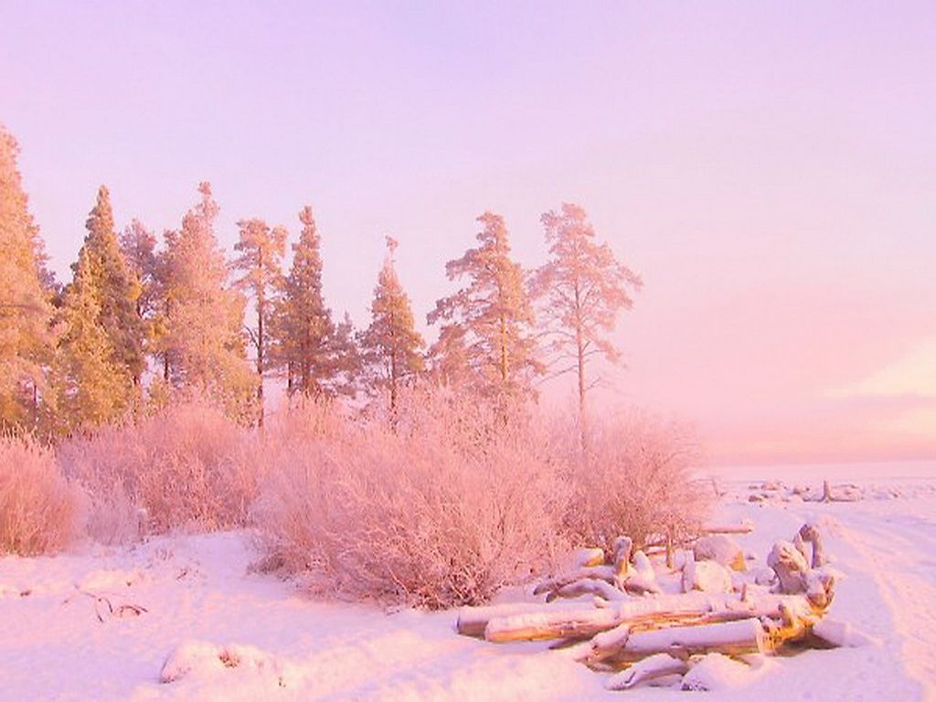 Pink Winter Wallpapers