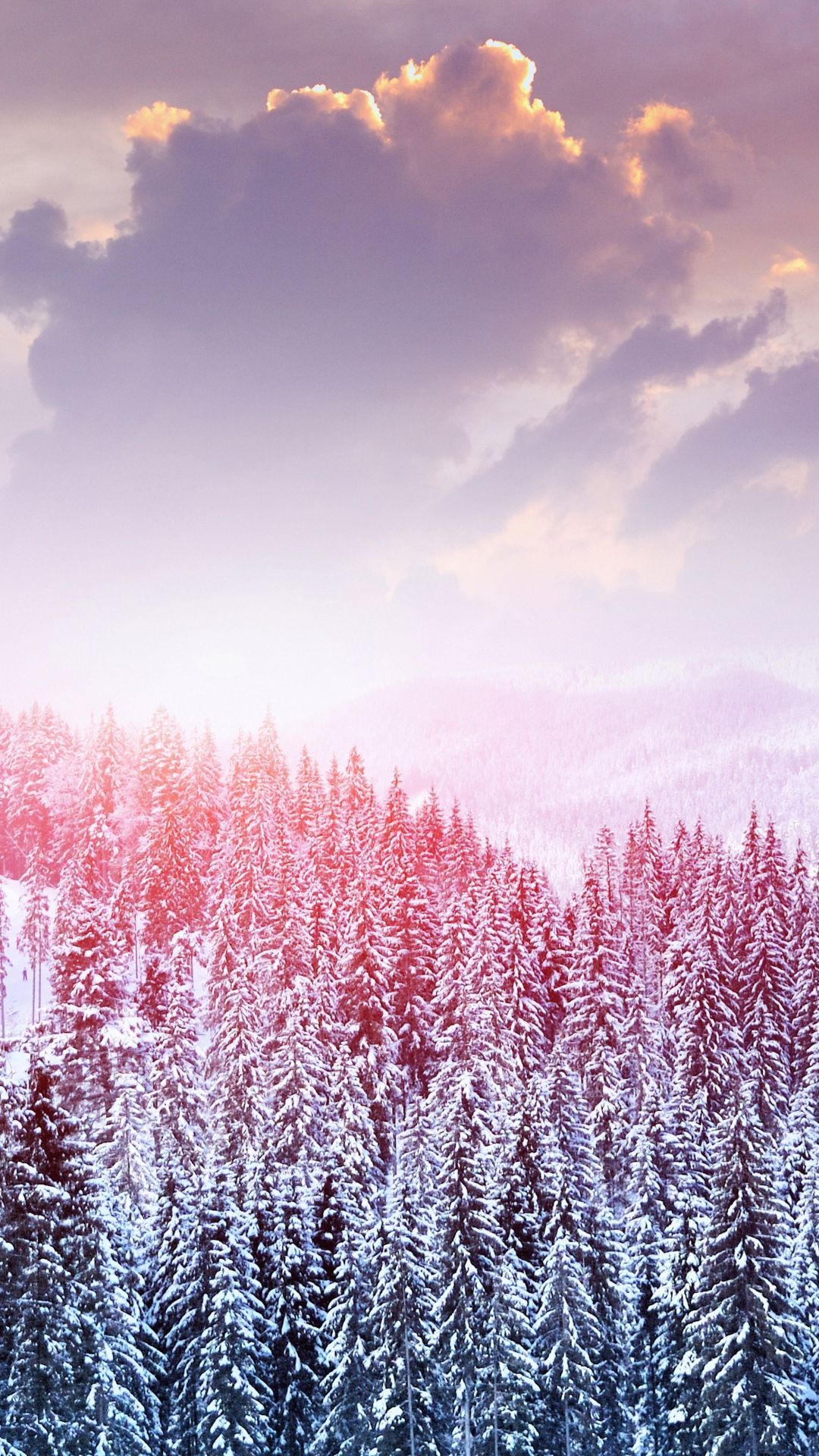 Pink Winter Wallpapers