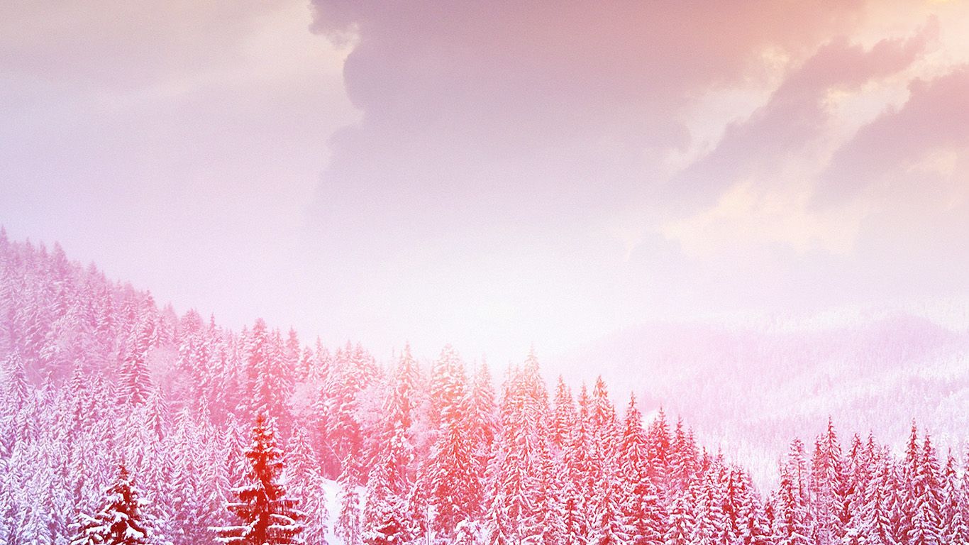 Pink Winter Wallpapers