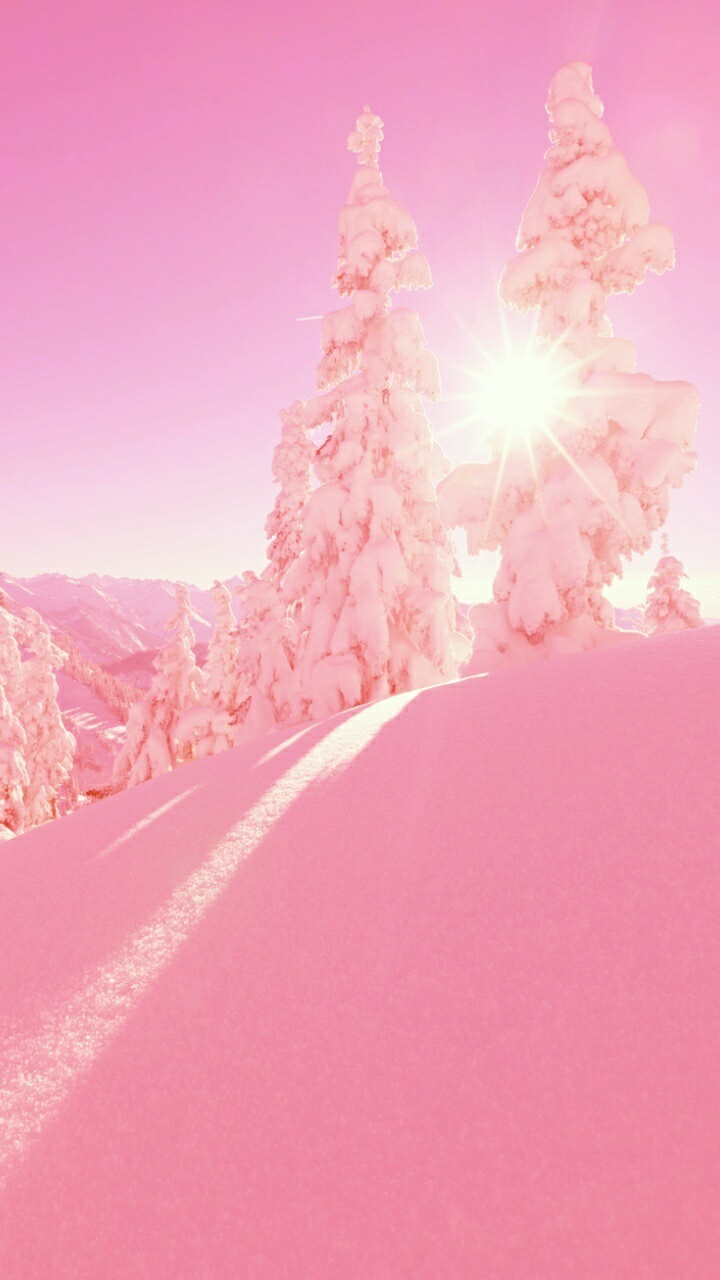 Pink Winter Wallpapers