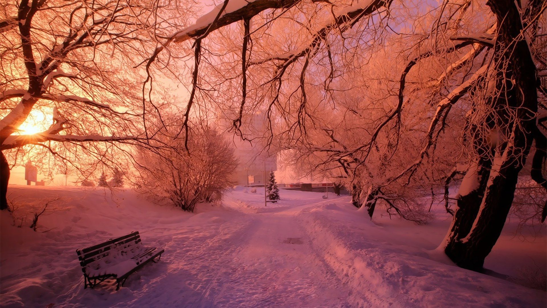 Pink Winter Wallpapers