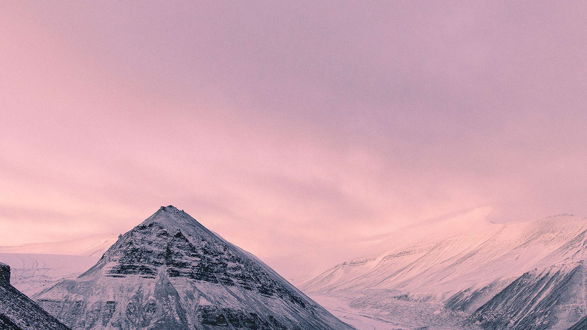 Pink Winter Wallpapers