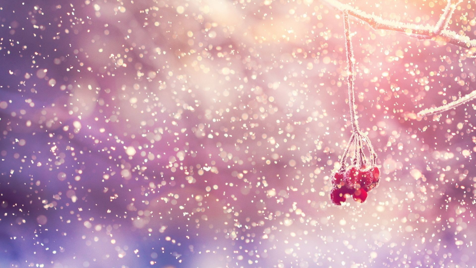 Pink Winter Wallpapers