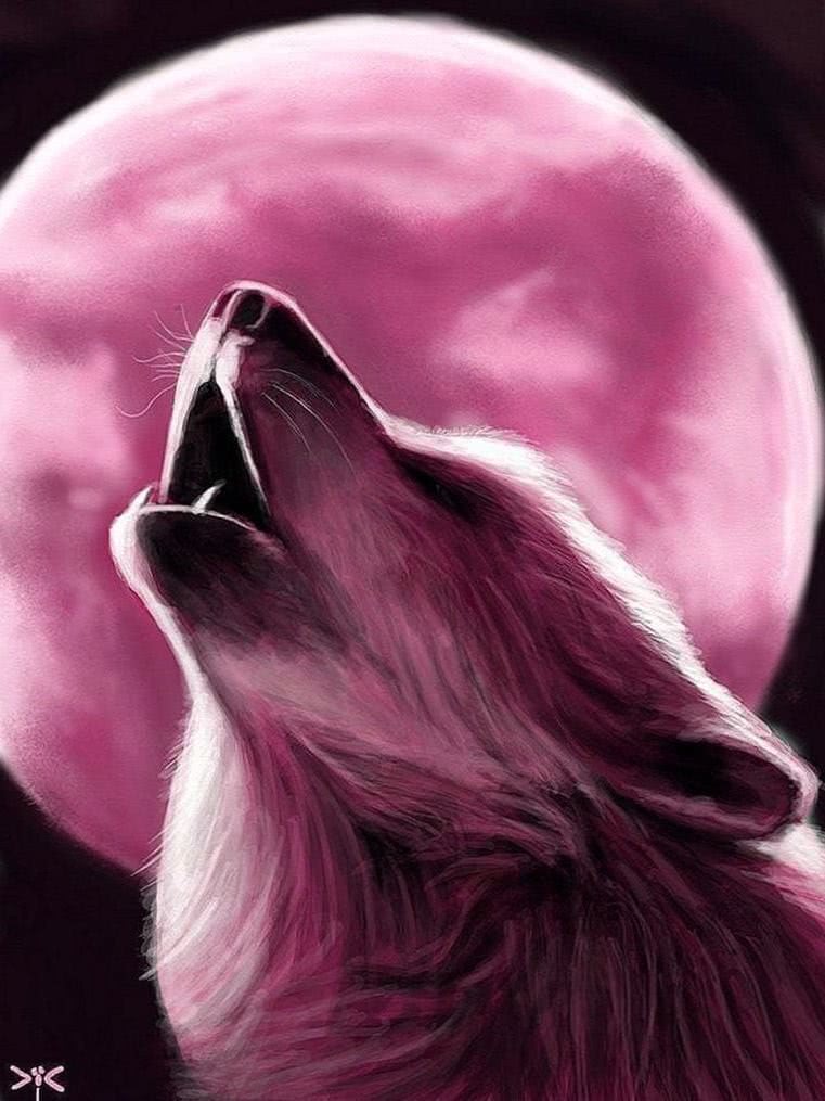 Pink Wolf Wallpapers