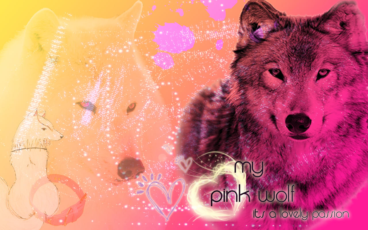 Pink Wolf Wallpapers