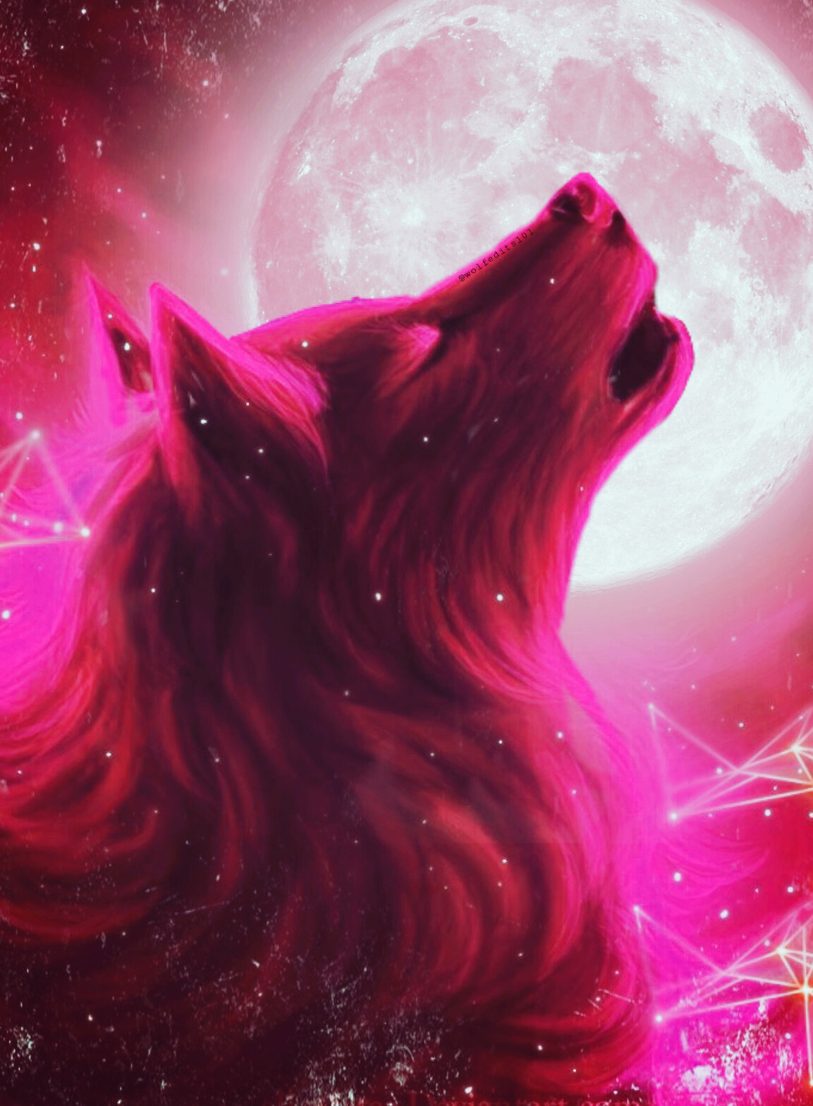 Pink Wolf Wallpapers