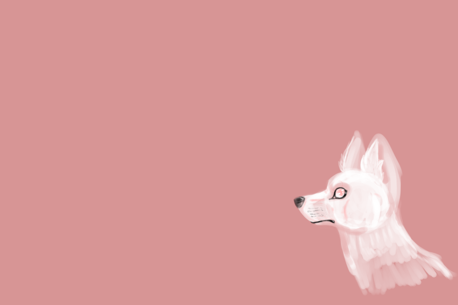 Pink Wolf Wallpapers