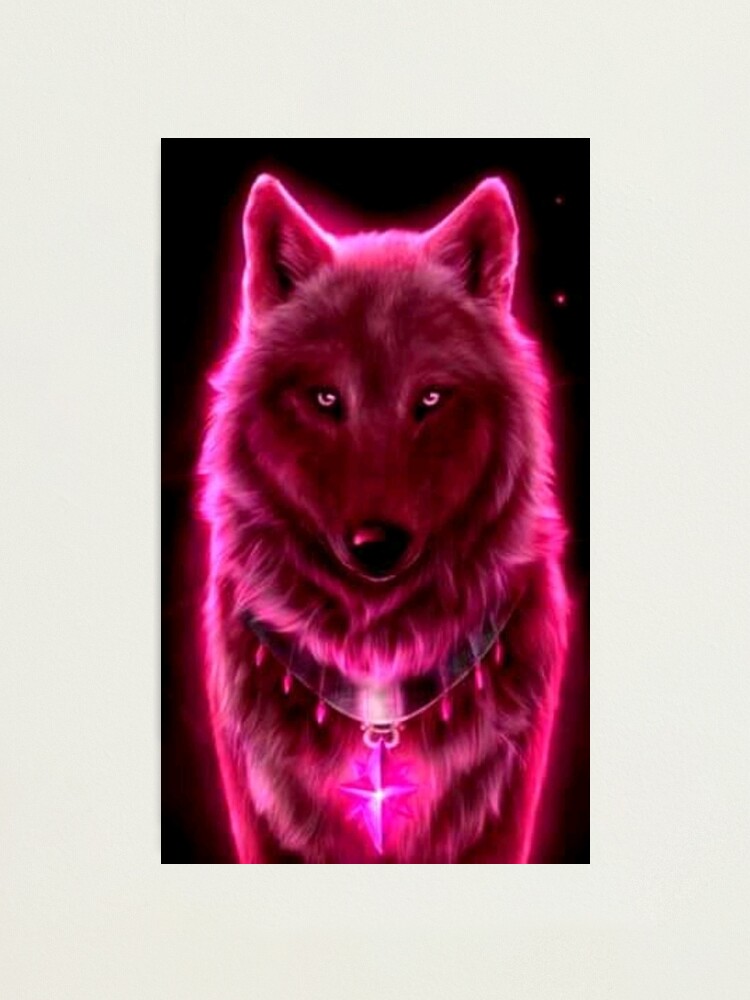 Pink Wolf Wallpapers