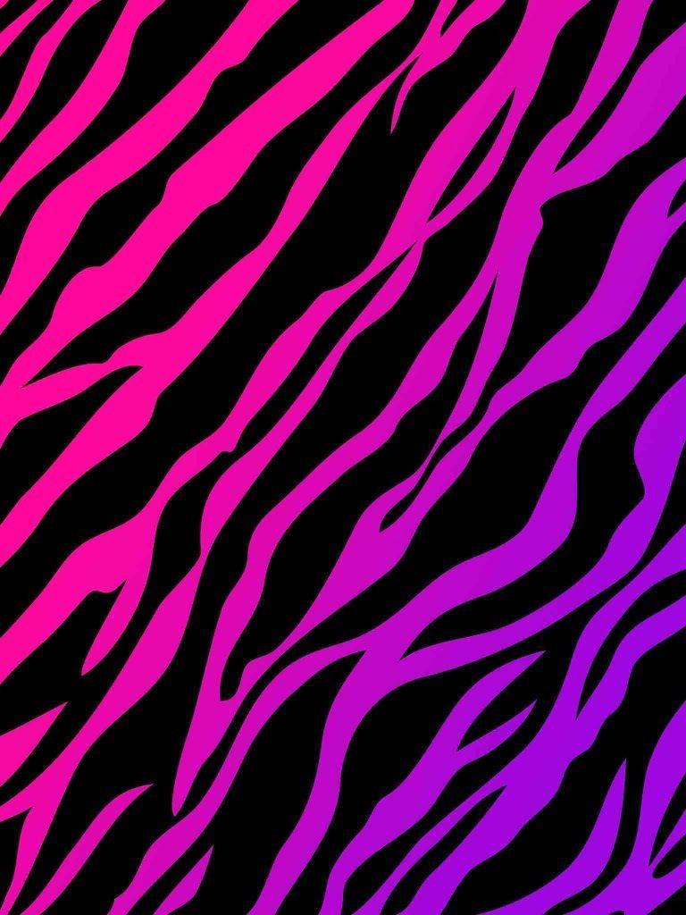 Pink Zebra Wallpapers