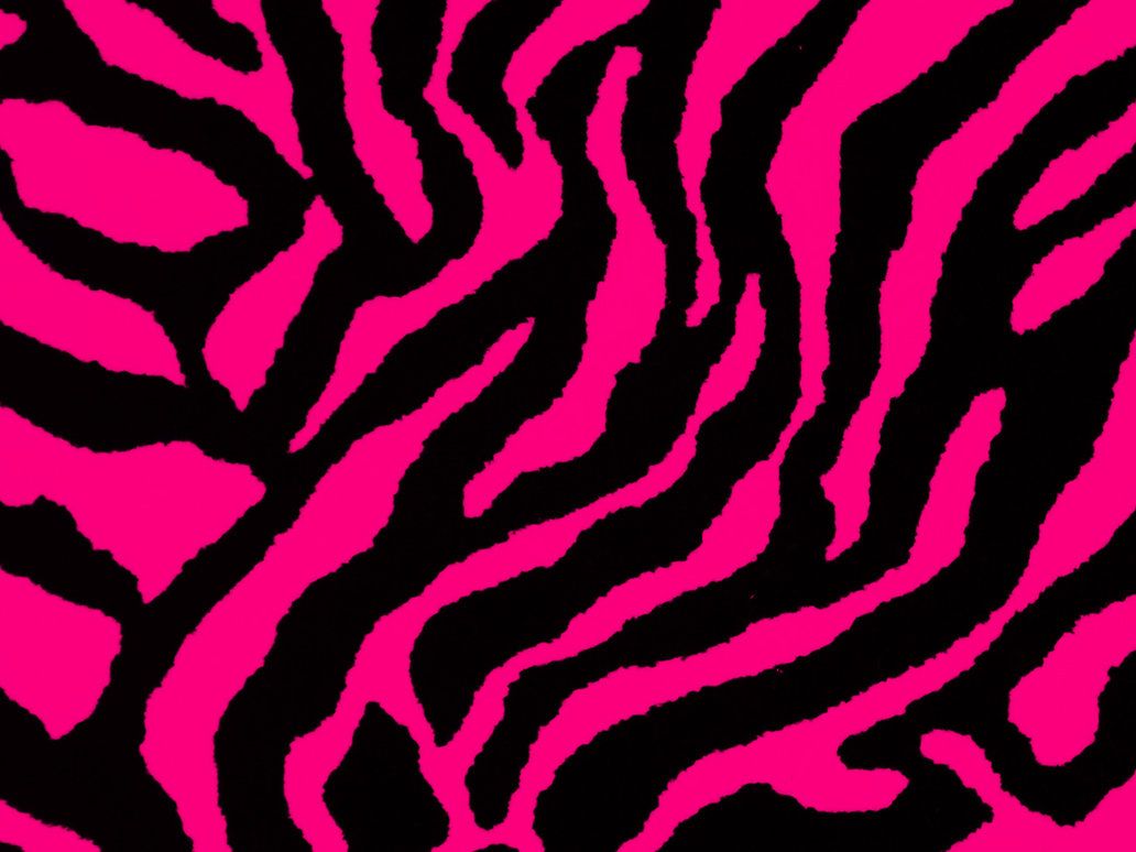 Pink Zebra Wallpapers