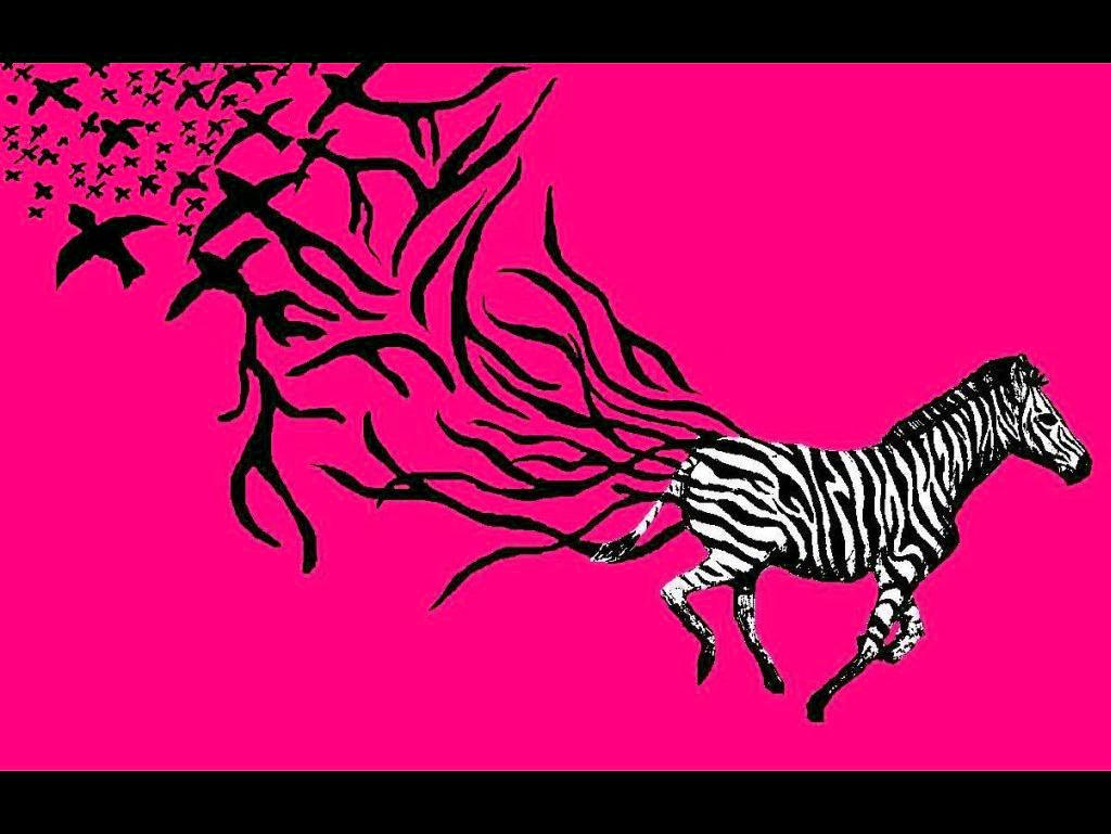 Pink Zebra Wallpapers