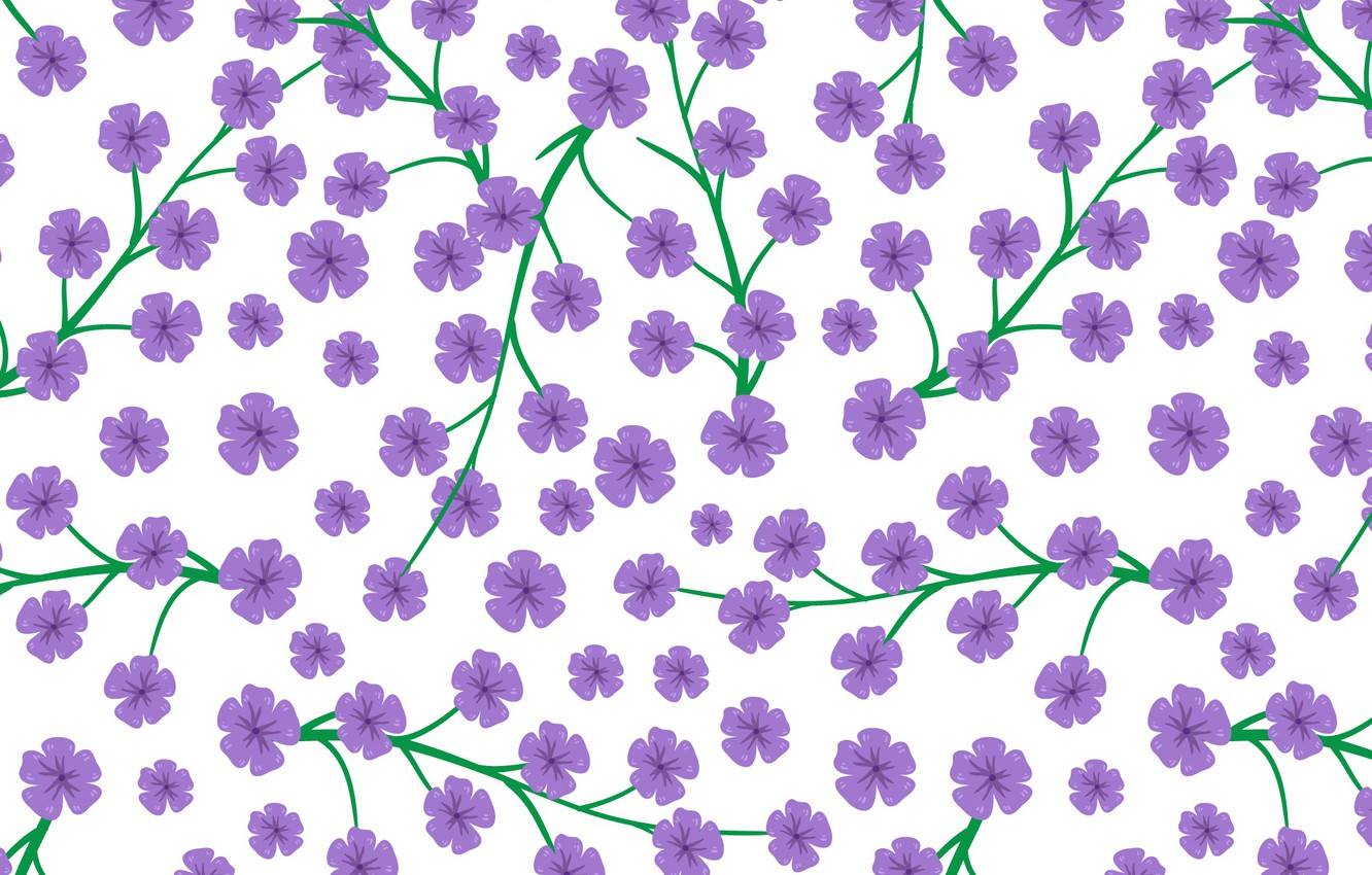 Purple Flowers White Background