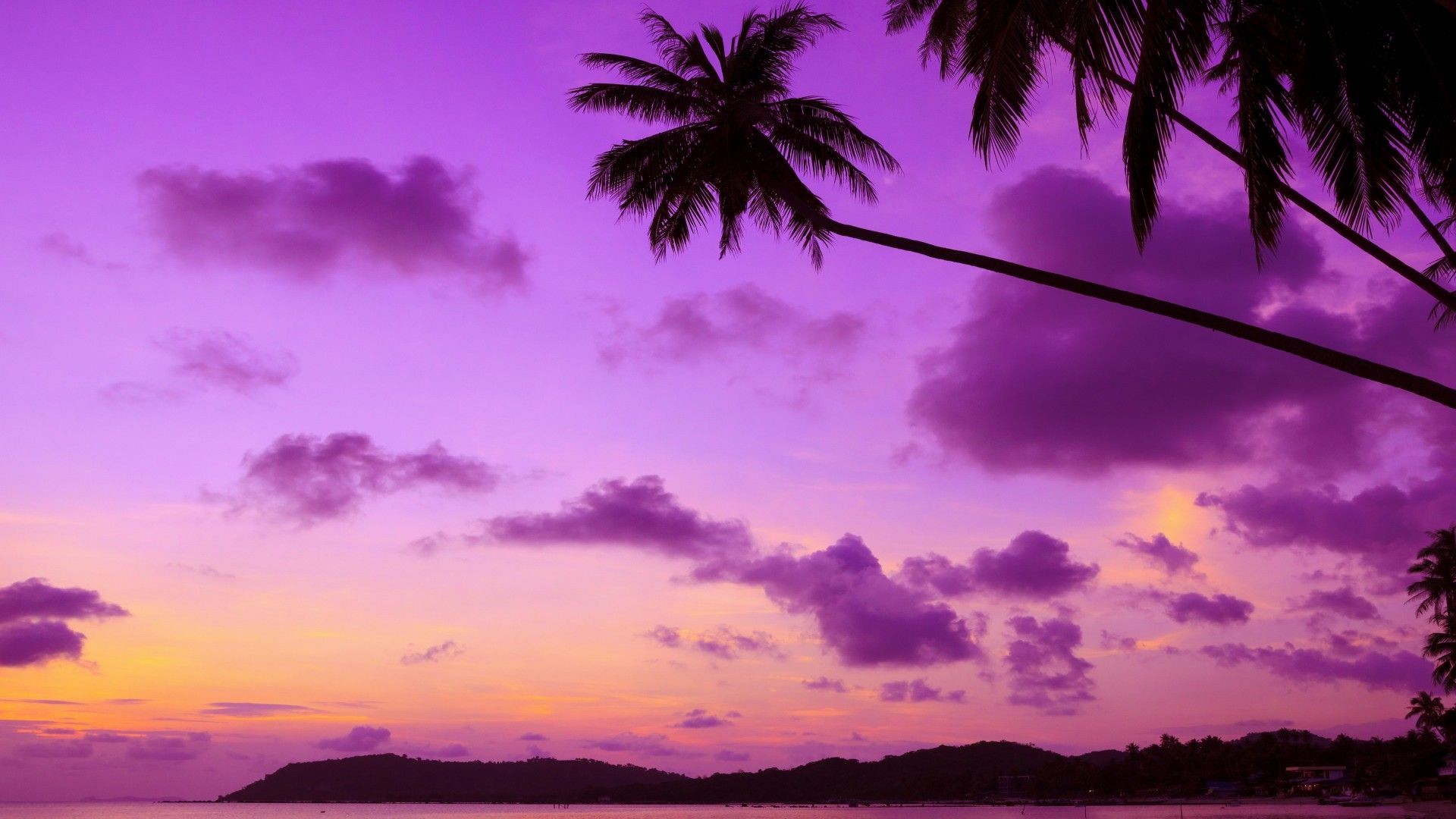 Purple Laptop Background