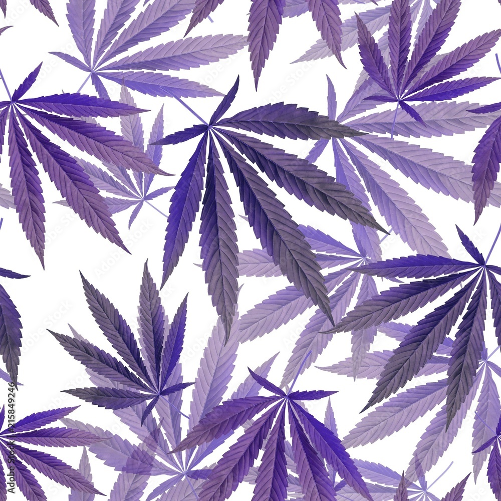 Purple Weed Background