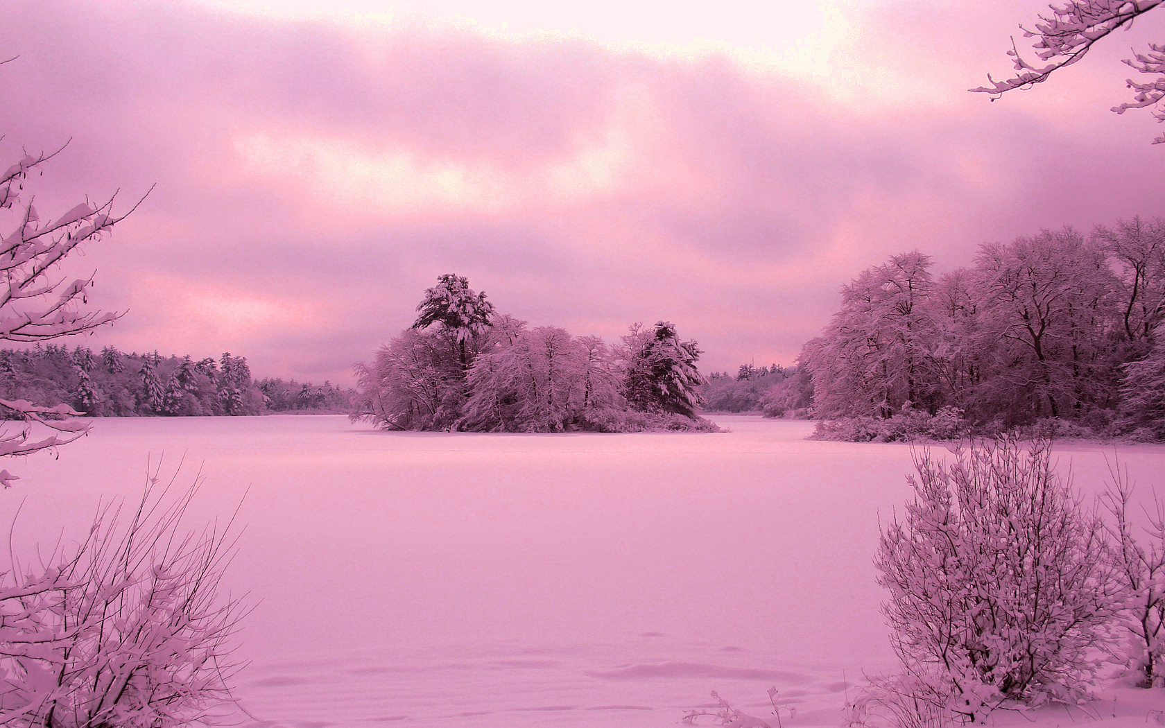 Purple Winter Background