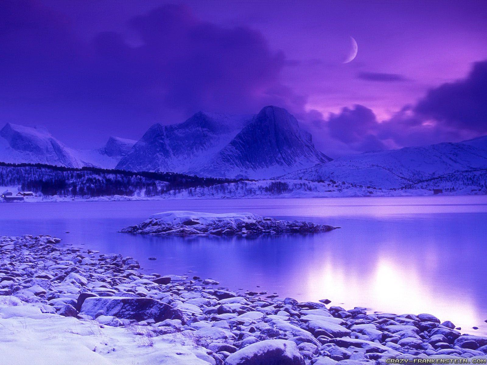 Purple Winter Background