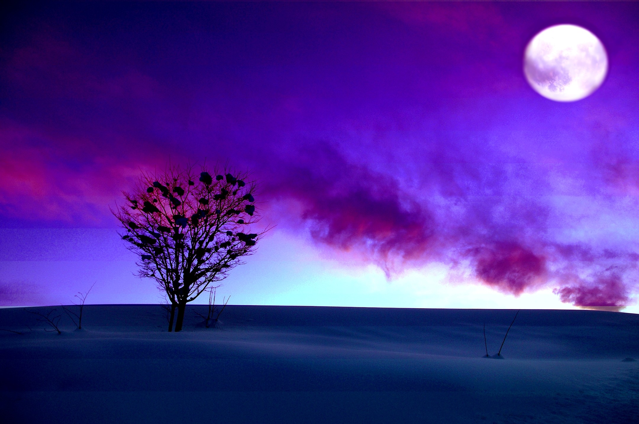 Purple Winter Background