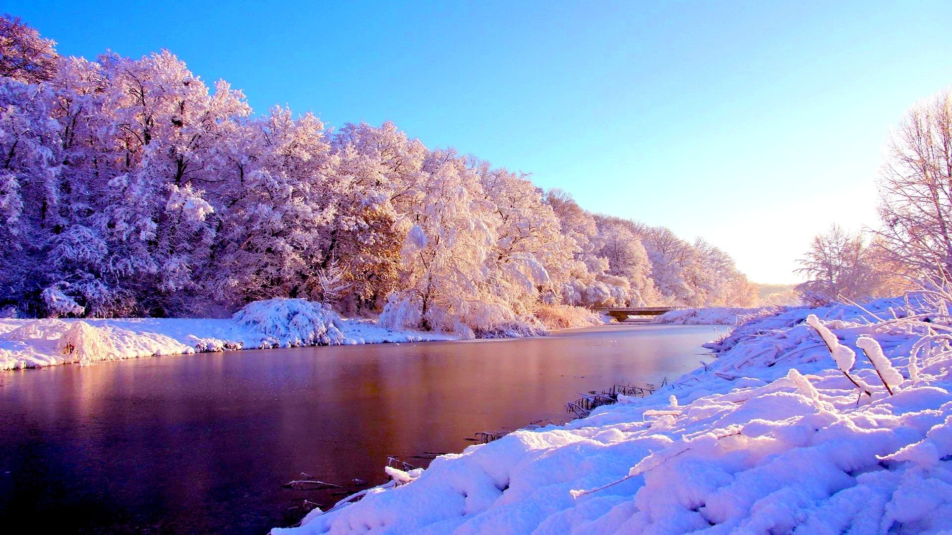 Purple Winter Background