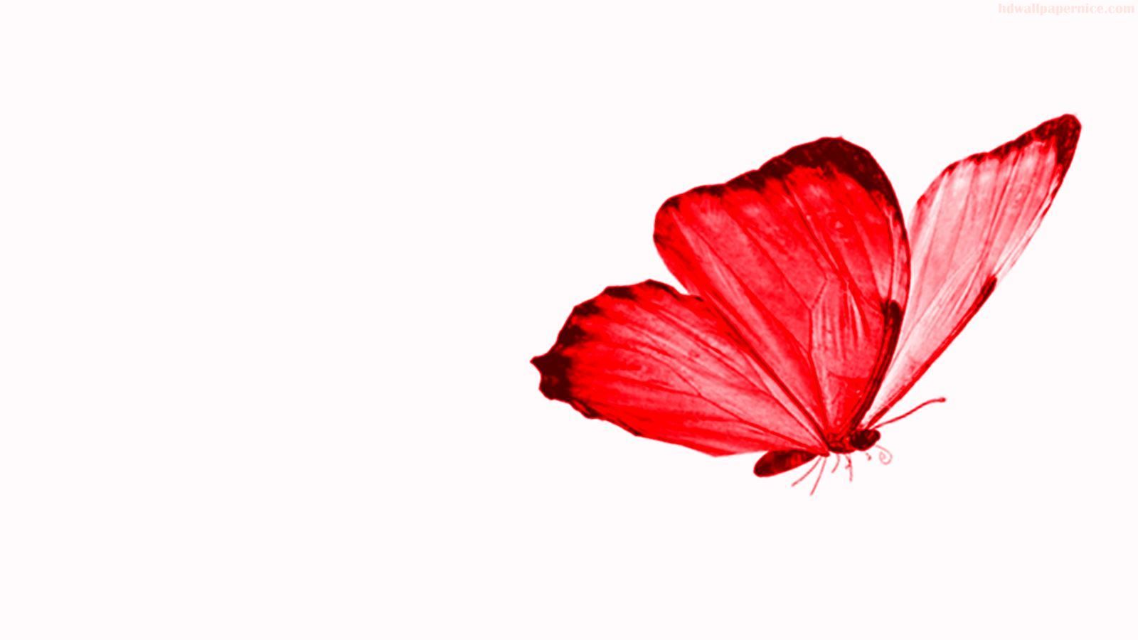 Red And Black Butterfly Wallpapers