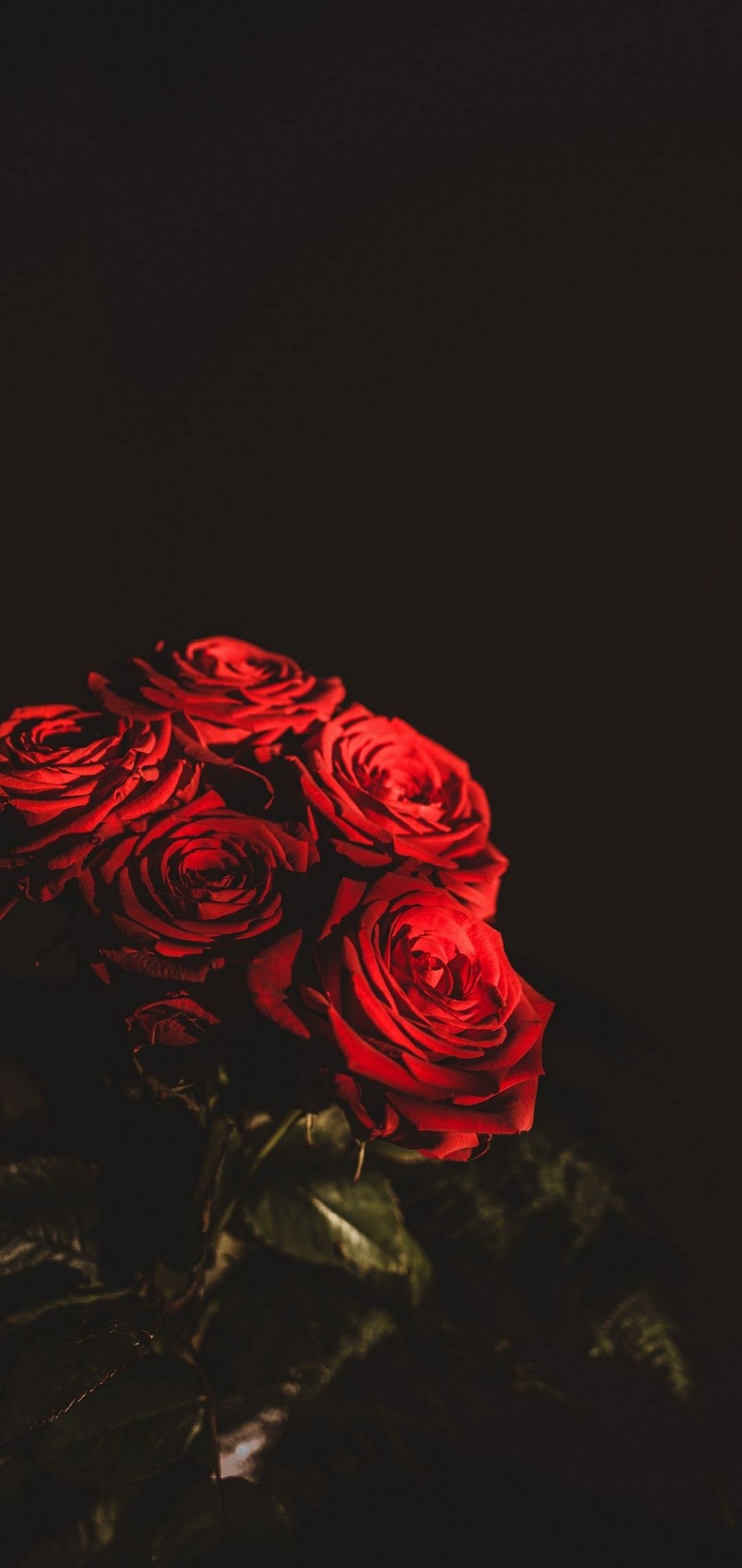 Red And Black Floral Wallpapers