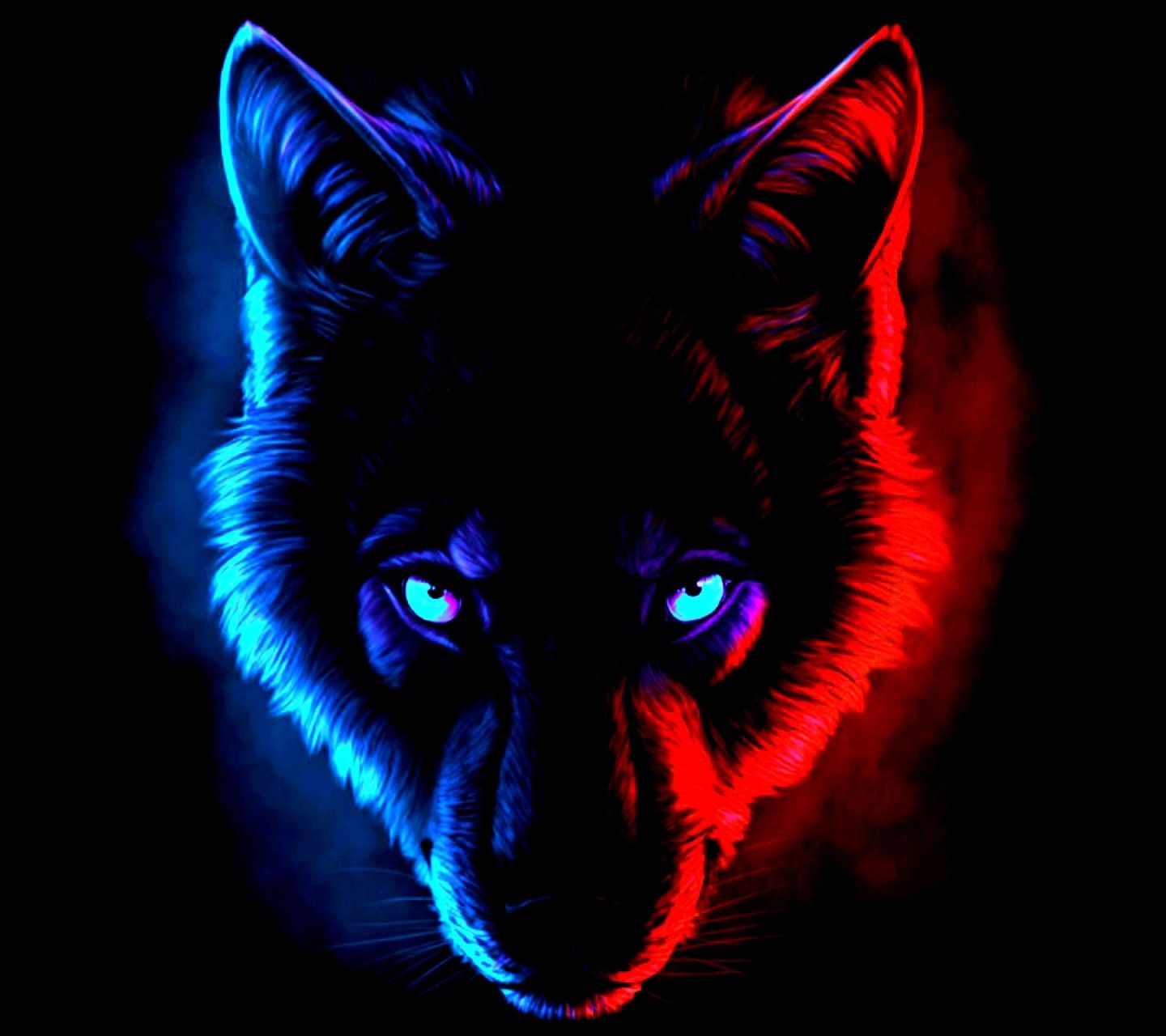 Red And Blue Wolf Wallpapers