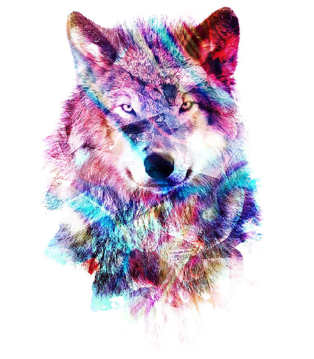 Red And Blue Wolf Wallpapers