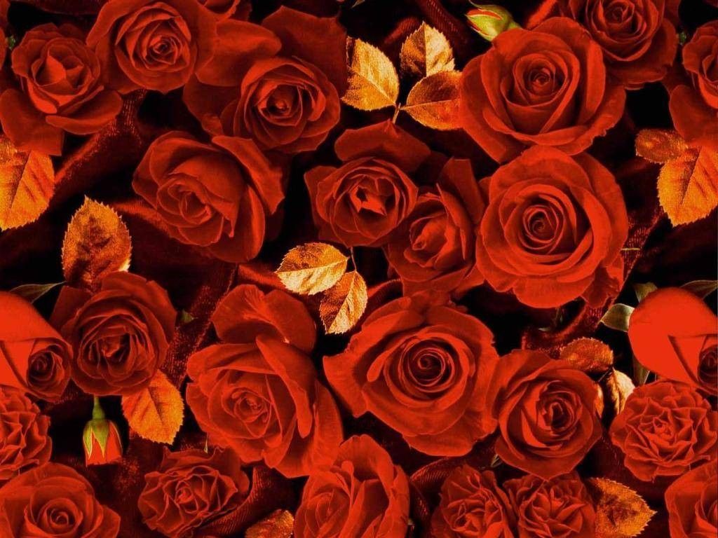 Red And Gold Floral Wallpapers