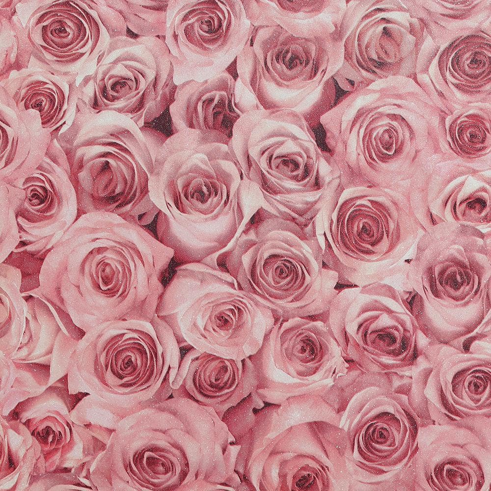 Red And Pink Roses Pics Wallpapers