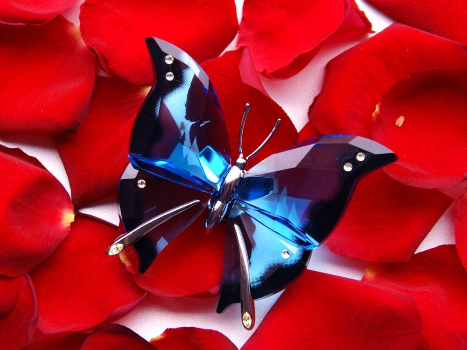 Red Butterfly Hd Wallpapers